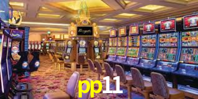pp11 App Interface
